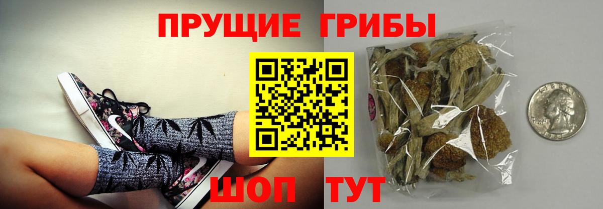 Протвино  Галлюциногенные грибы MAGIC MUSHROOMS  Вход с VPN 